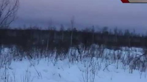 Незаконная охота