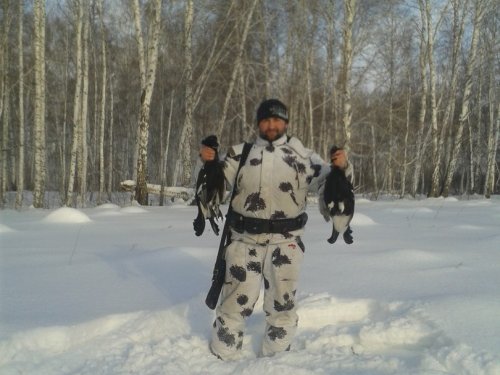 Тетерев на лунках 20.02.2016