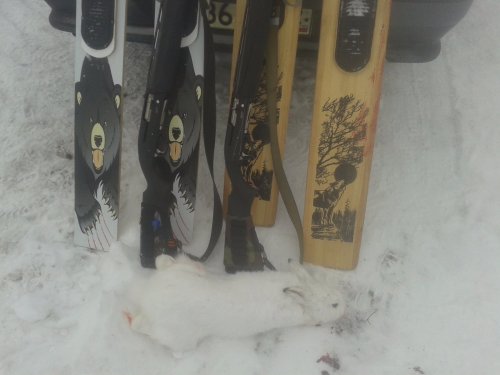 3.02.16г