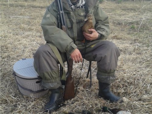 Неплохое утро.