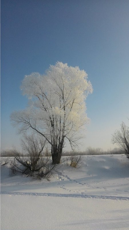 Хрустальное дерево!!!