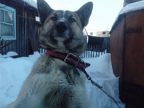 селфи))
