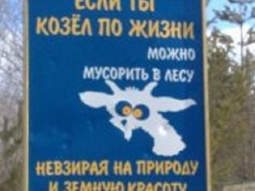 СКОТЫ