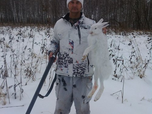 Охота на зайца