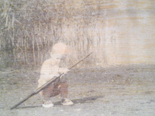 1981 год