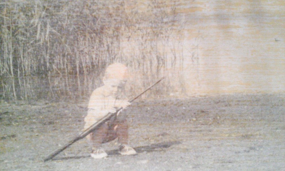 1981 год