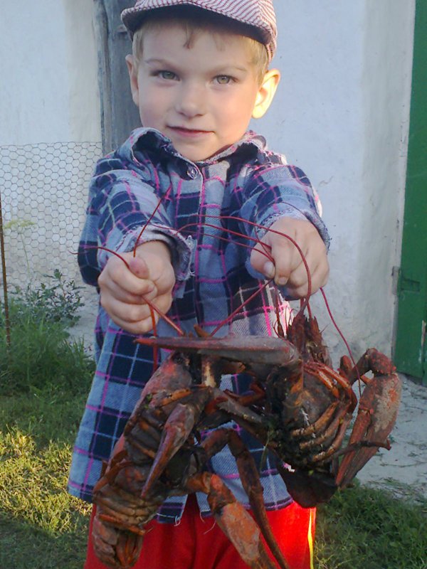 И раки у нас неплохие!