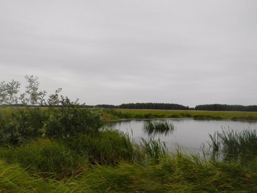 Скрадок.