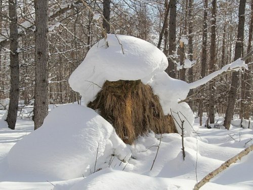 Фигура)