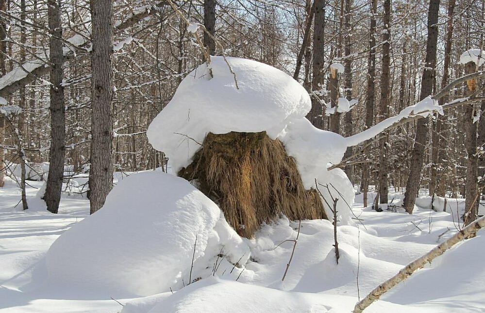 Фигура)