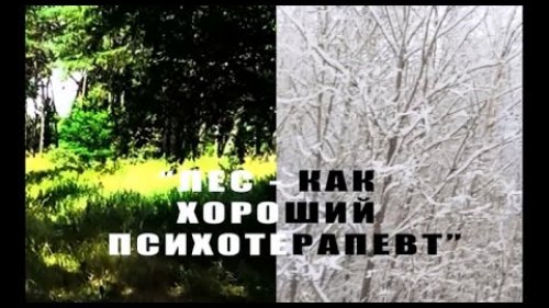 Погружение | Трейлер (2016) | Авторский проект