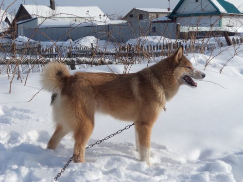 Прошел год, какая стала