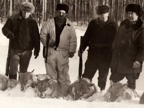 1979 год.