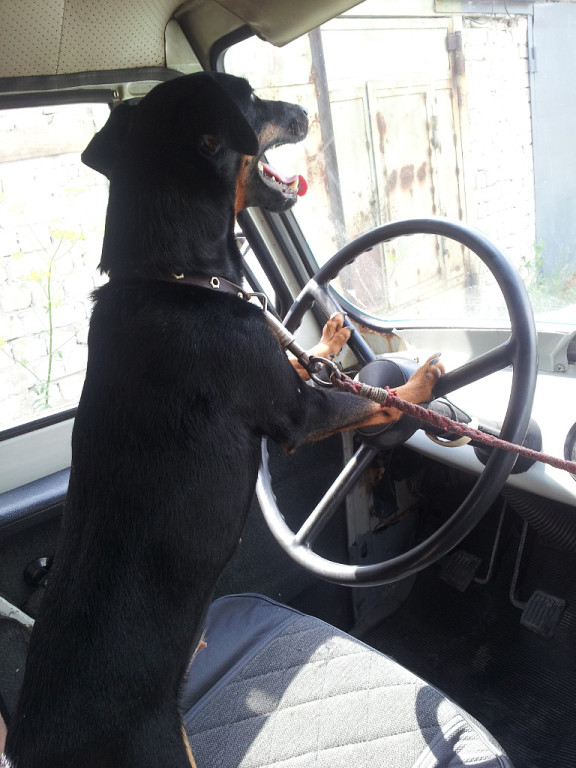 Нас не догонят!)