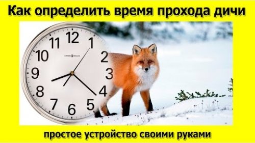 Как определить время прохода дичи