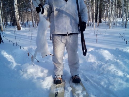 С полем
