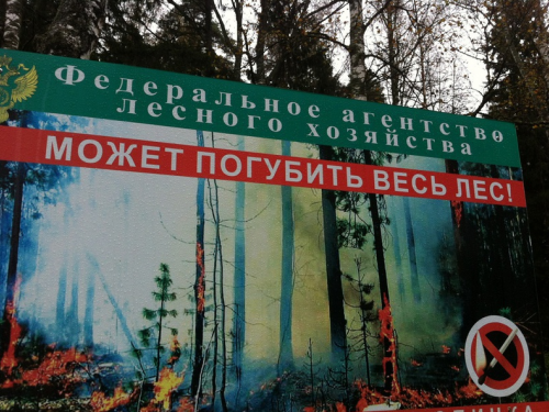 Умом Россию не понять...