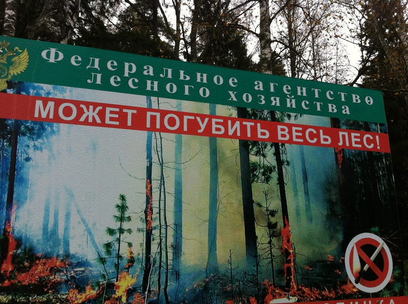 Умом Россию не понять...