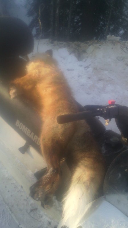 попался который косячил