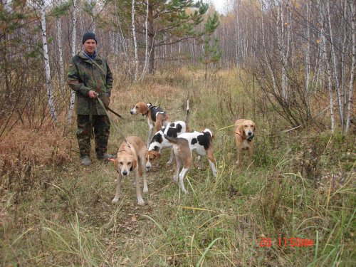 Осень 2014г.
