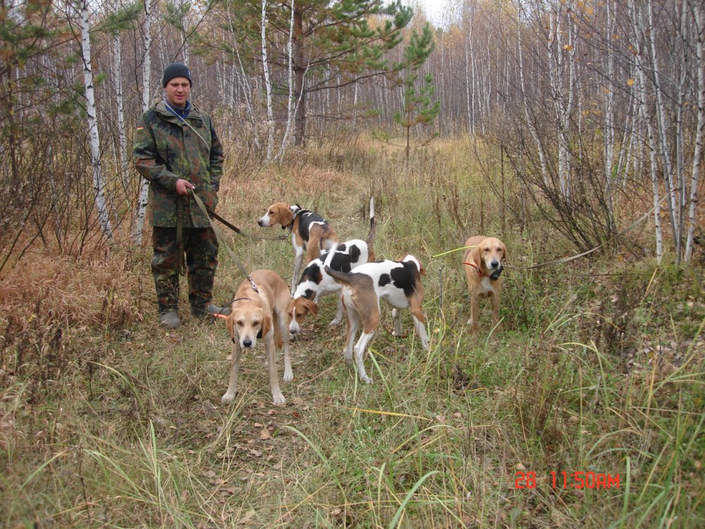 Осень 2014г.