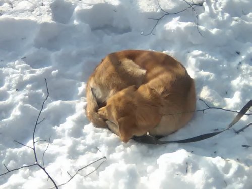 всё в отрубе