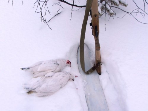 Куропэ.