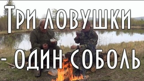 Три ловушки - один соболь