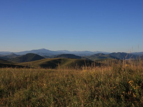 Предгорья Алтая