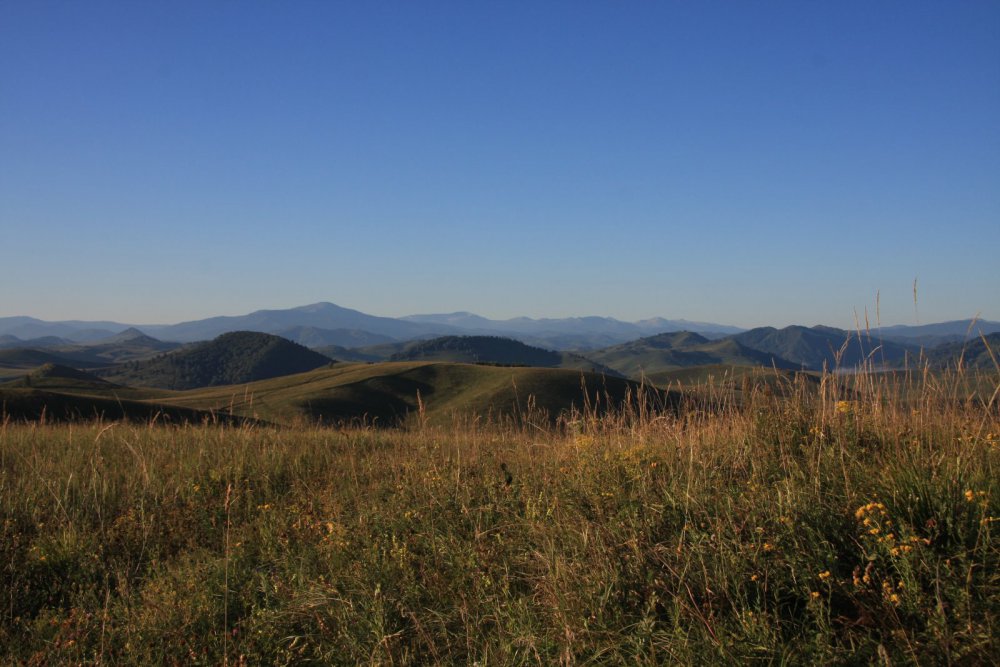 Предгорья Алтая