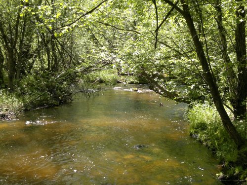 с. Шивки, Нерчинский район, Забайкальский край