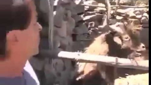 Когда споришь с девушкой
