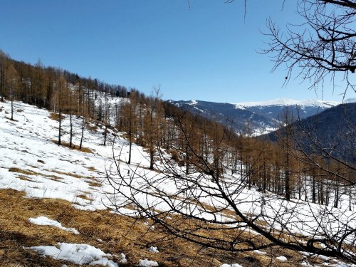 Чисто и прозрачно