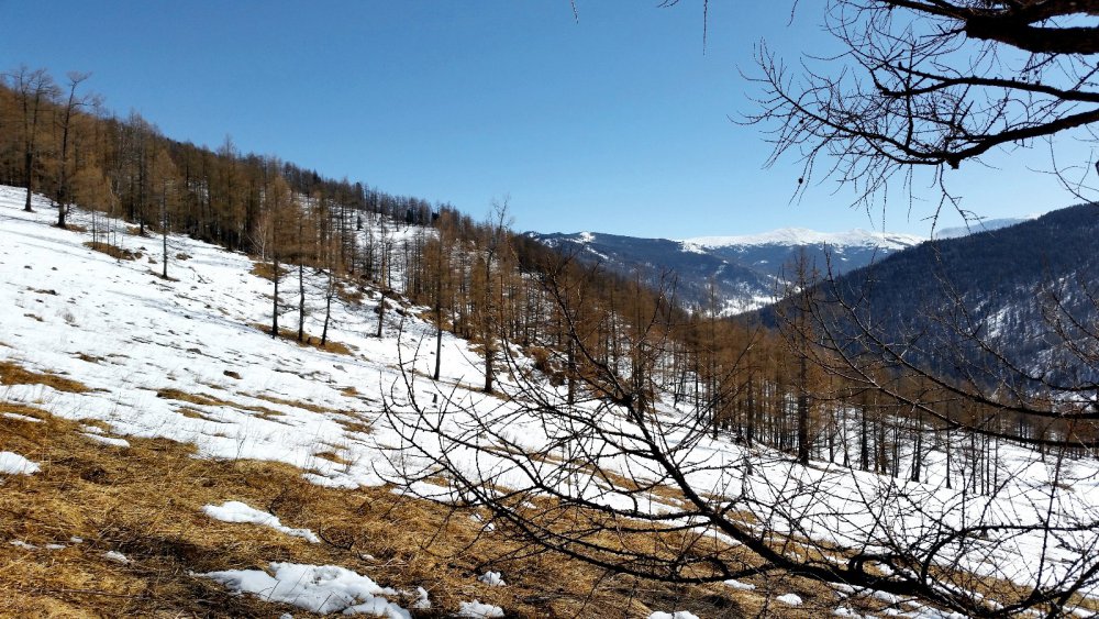 Чисто и прозрачно