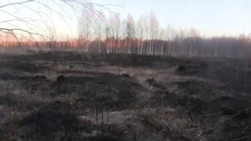 Весенние поджоги травы и их последствия