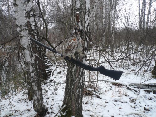 Обновил дробовик.