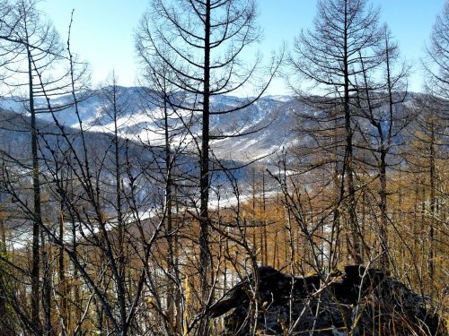 Сверху вниз