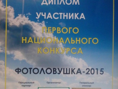 Получил диплом участника