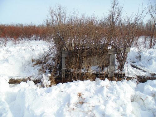 Откопали скородочек