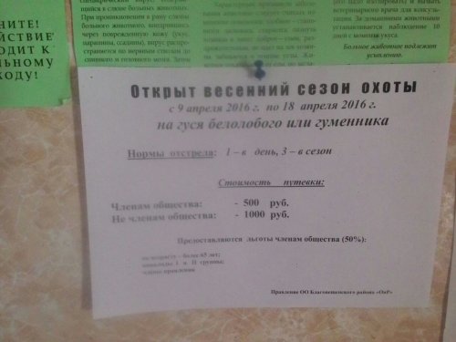 Алтай Благовещенка