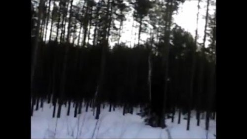 поиск глухариного тока.   hunting for capercaillie