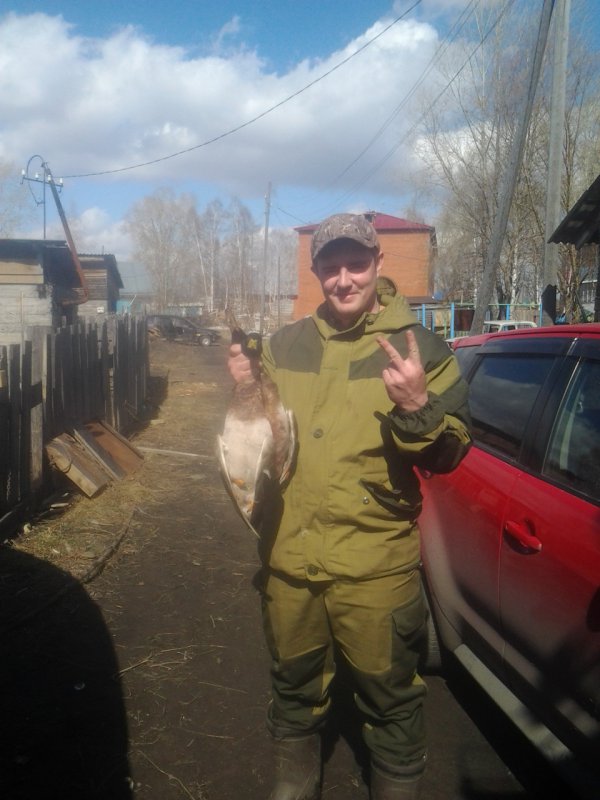С помощью манка от ШО