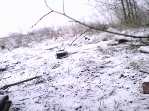 Вот такая картина ожидала нас за палаткой 3.05.2009