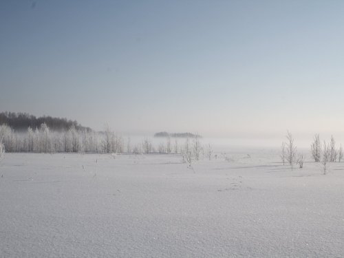 Морозное утро...