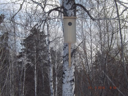Жилье для Гоголя.