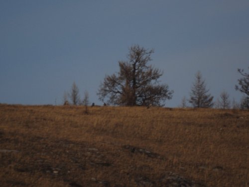 Вечерний вид из окна
