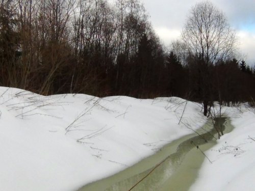 Верховка
