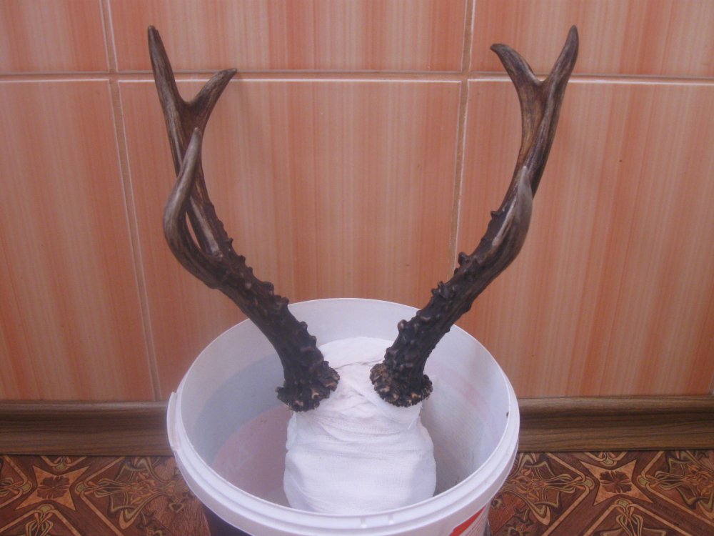 Рожки