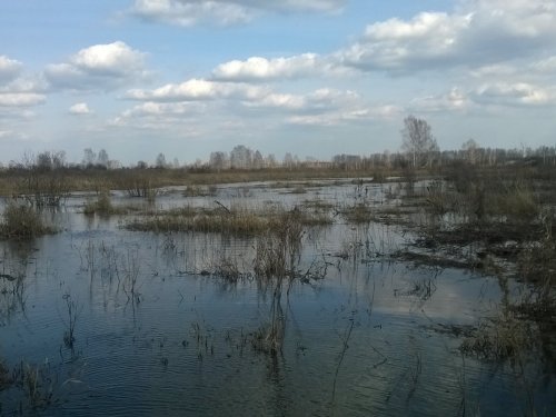 наконец-то туман ушёл