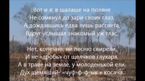 Весна охотника.  На току